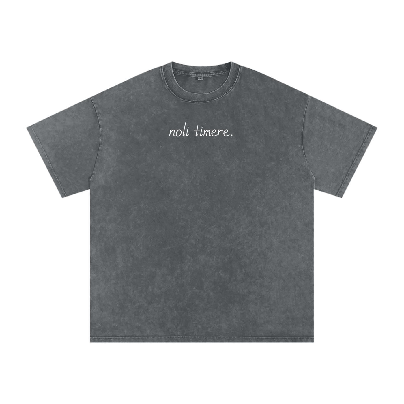 Noli Timere Snow Washed Oversized T-Shirt